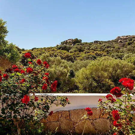 Alloggio per agriturismo Saltara Santa Teresa di Gallura
