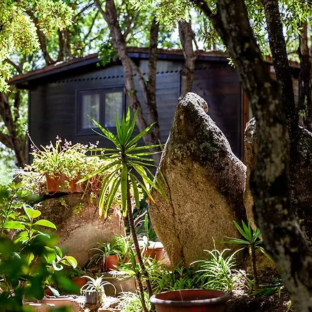 Gospodarstwo agroturystyczne Casa Saltara (adults Only)