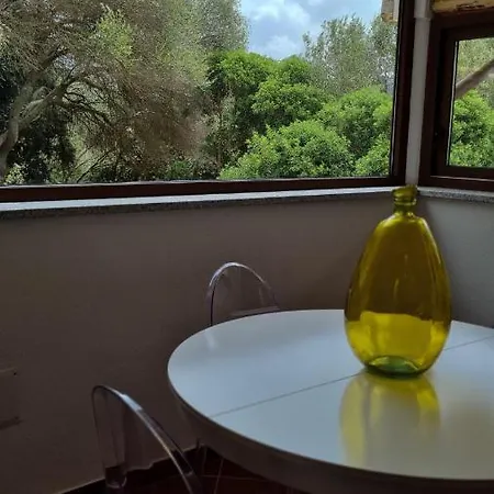 Agriturismo Saltara Farm stay Santa Teresa Gallura