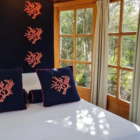 Agriturismo Saltara Farm stay