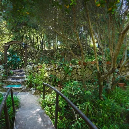 Agriturismo Saltara Farm stay *