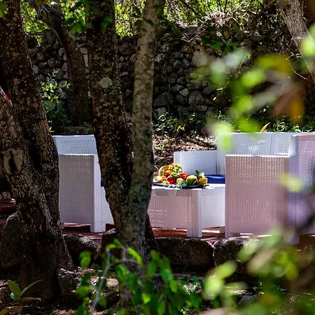 Agriturismo Saltara Farm stay