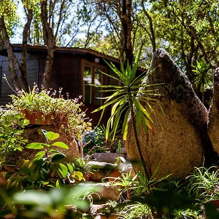 Agriturismo Saltara Farm stay