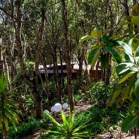 Agriturismo Saltara Farm stay