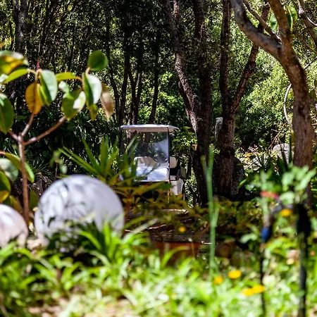 Agriturismo Saltara Farm stay
