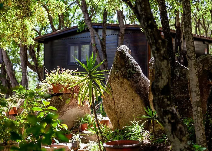 ファームステイ Casa Saltara (adults Only)